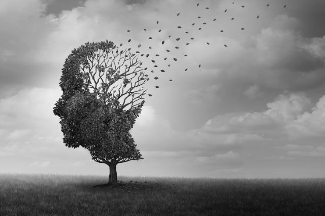 espirulina en la prevención de enfermedades neurodegenerativas